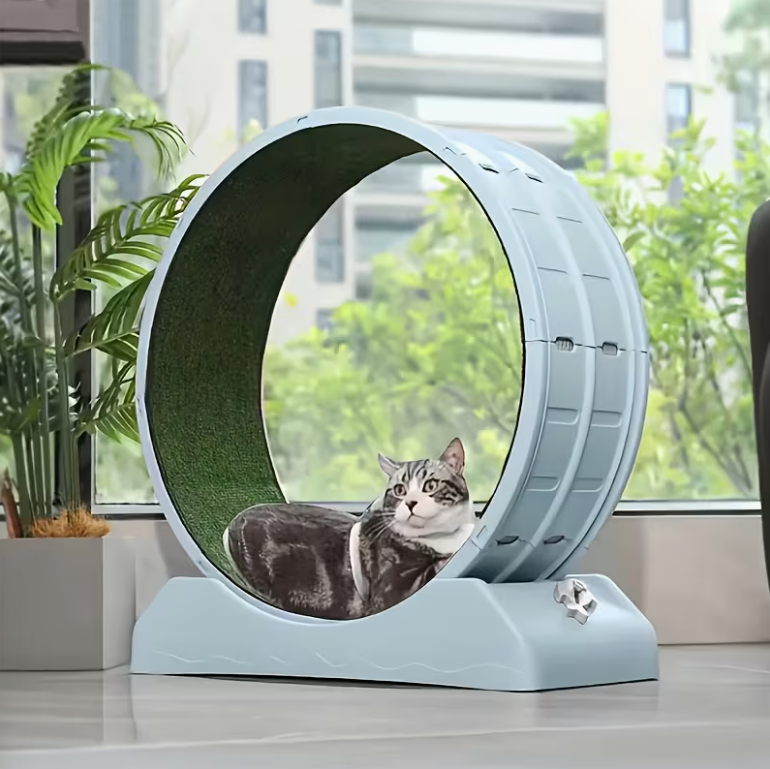 33-Inch Large Carpet-Surface Cat Exercise Wheel๐๐๐